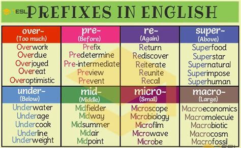 Prefixes related to birds and their characteristics